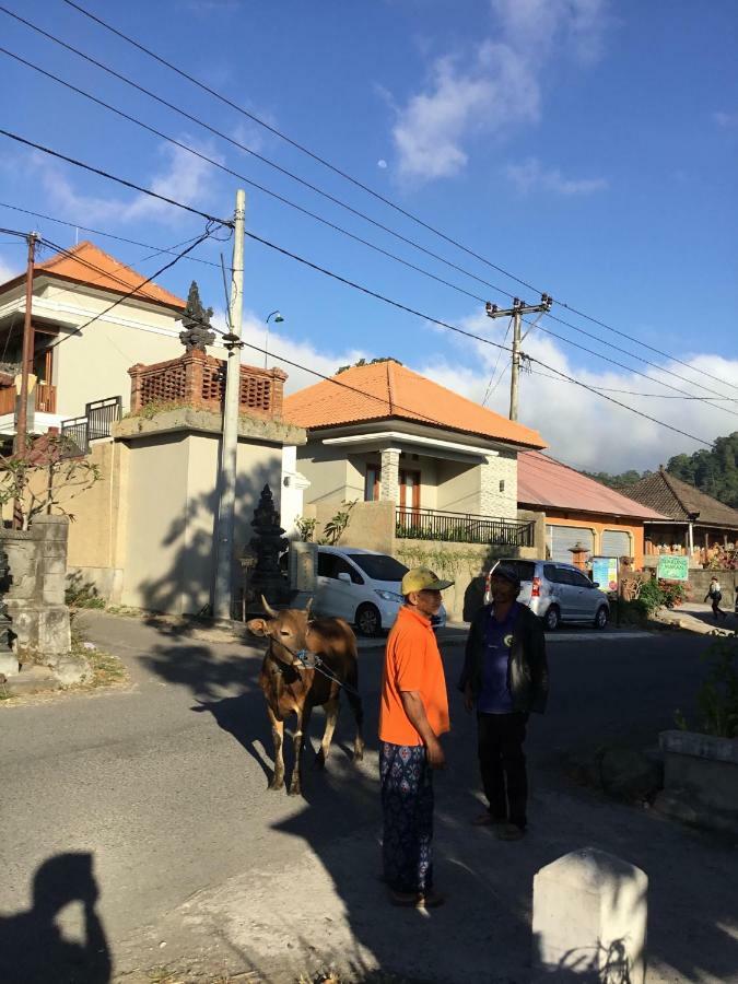 The Villa'S Kubu Sandan Kintamani  Exterior photo