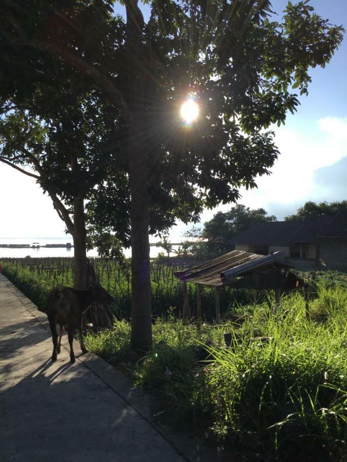 The Villa'S Kubu Sandan Kintamani  Exterior photo